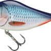 Bleeding Blue Shad