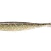 Gold Flash Minnow